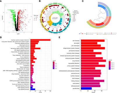 Development and validation of prognostic models for colon adenocarcinoma based on combined immune-and metabolism-related genes